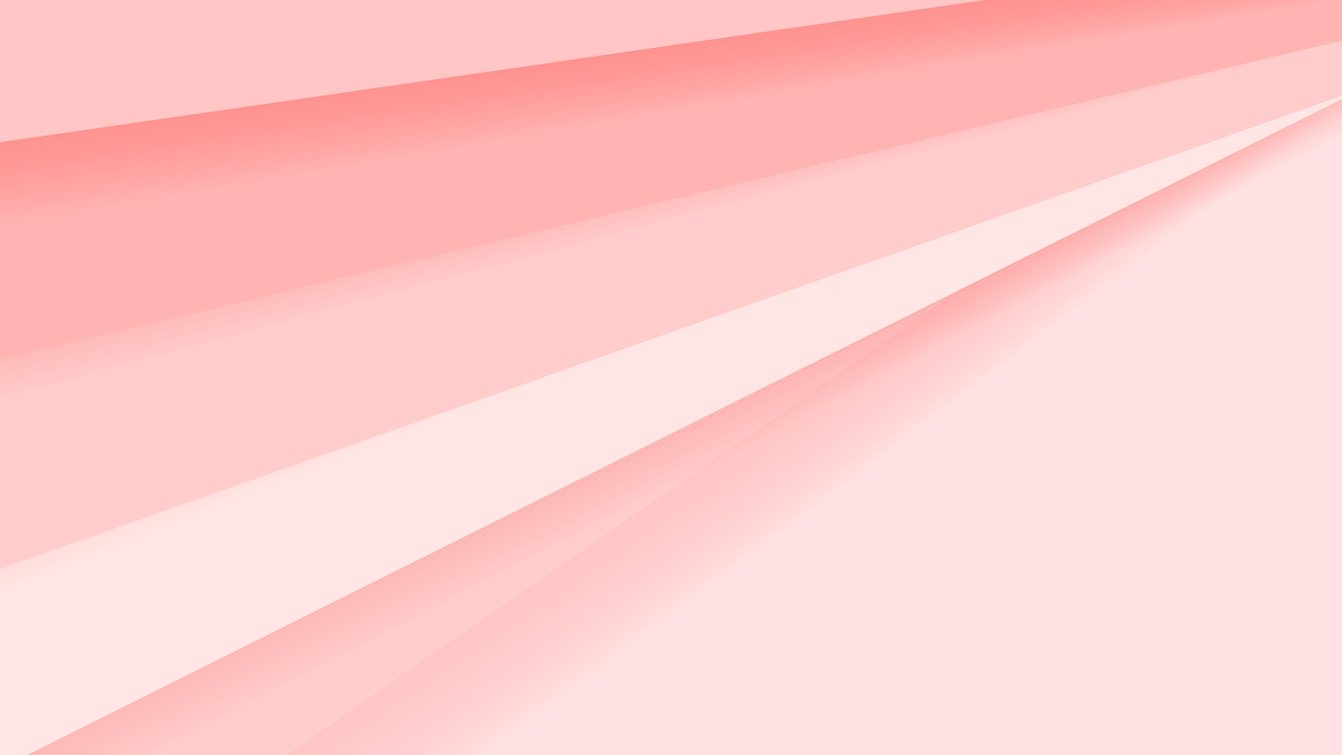 ギャラリー